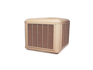 coolbreeze